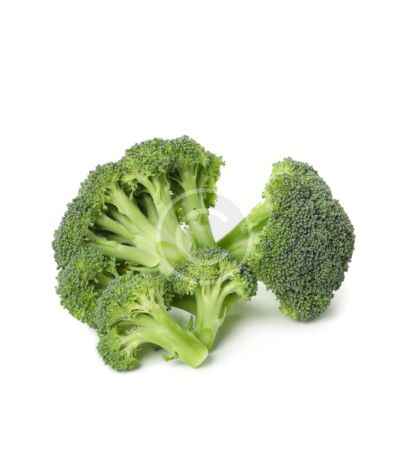 Fresh broccoli florets